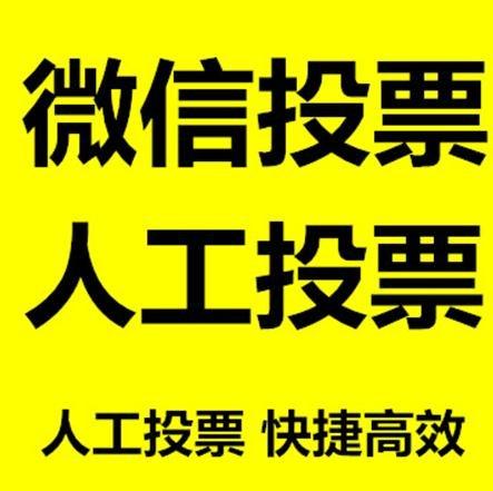 文山壮族苗族自治州投票活动拉票能被查出来吗？如何操作能不被发现？